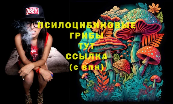 гашиш Болохово
