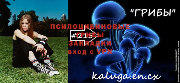 mdpv Козельск
