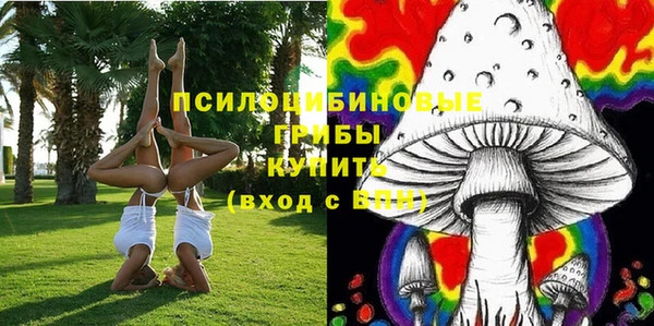 Альфа ПВП Болотное