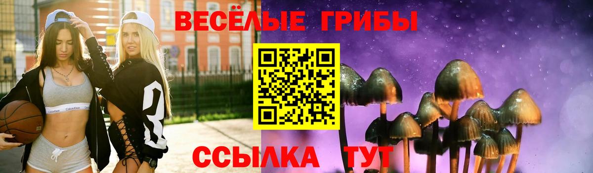 Клин  Псилоцибиновые грибы прущие грибы  Галлюциногенные грибы Psilocybe  купить наркотики сайты  Вход с VPN 